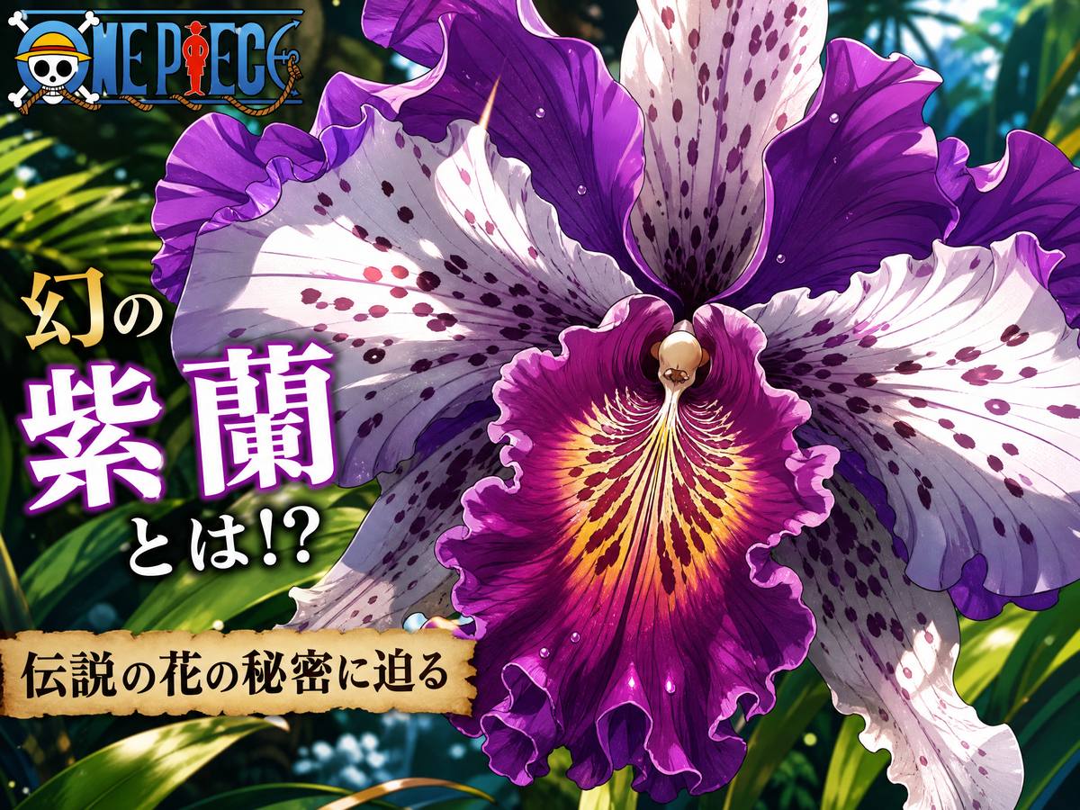 四虎